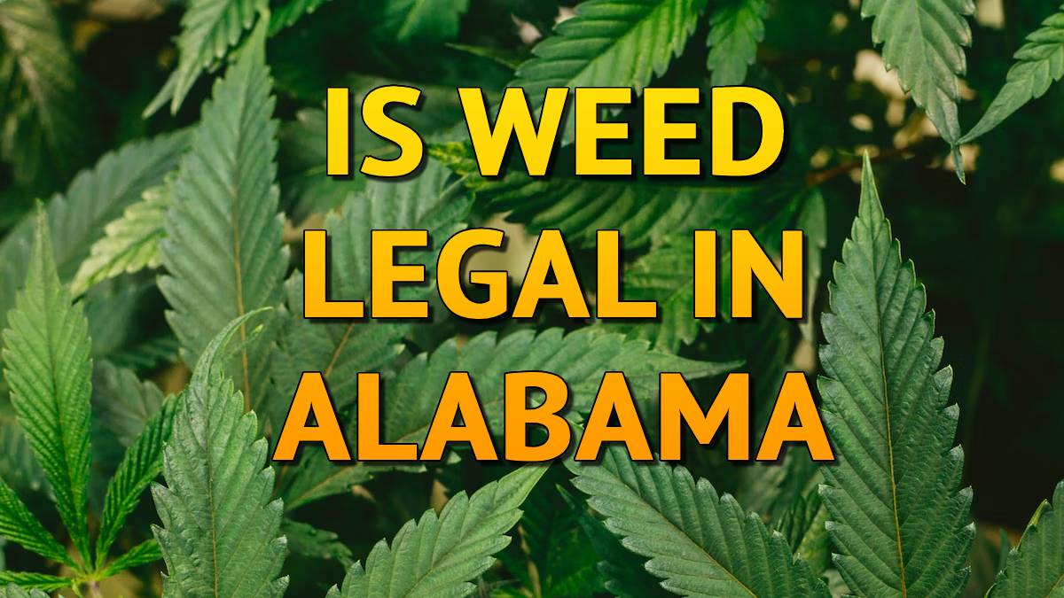 Is Weed Legal in Alabama
