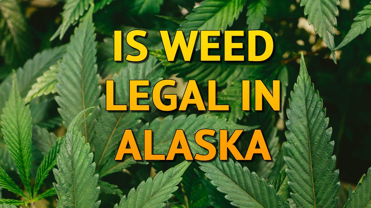 Is Weed Legal in Alaska
