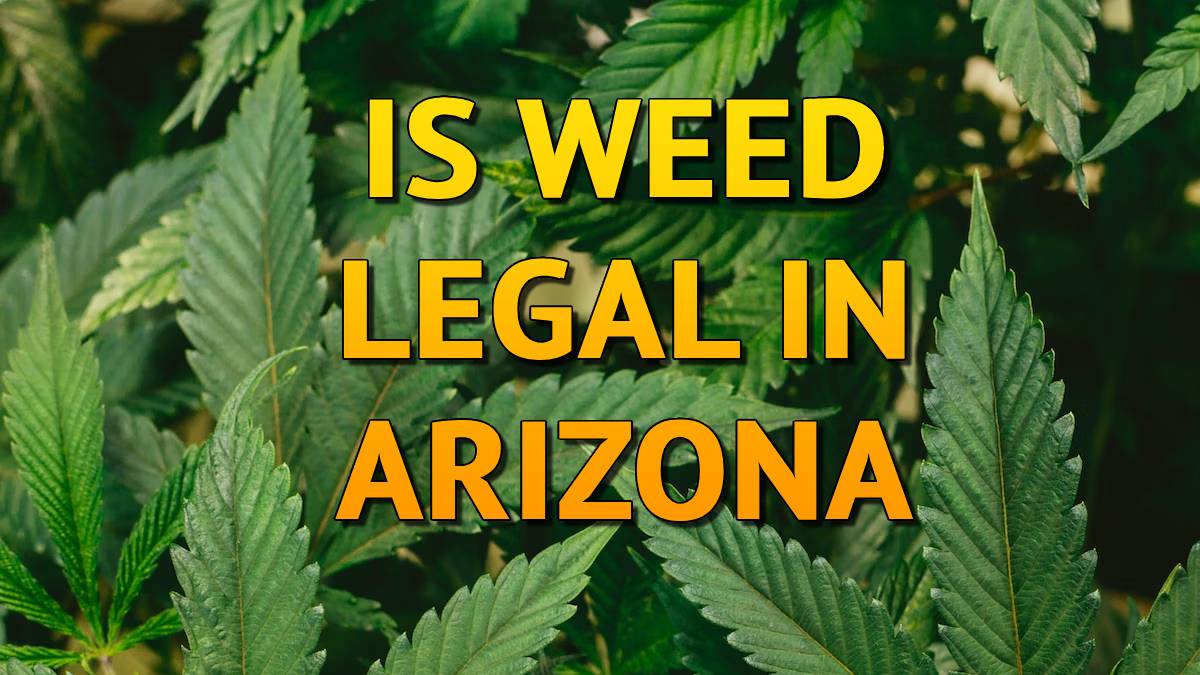 Is Weed Legal in Arizona