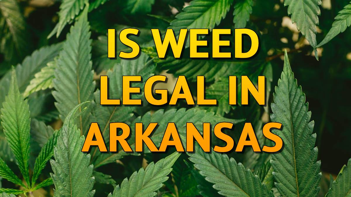 Is Weed Legal in Arkansas