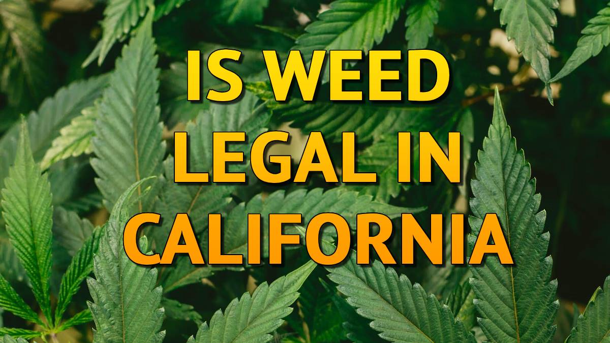 Is Weed Legal in California