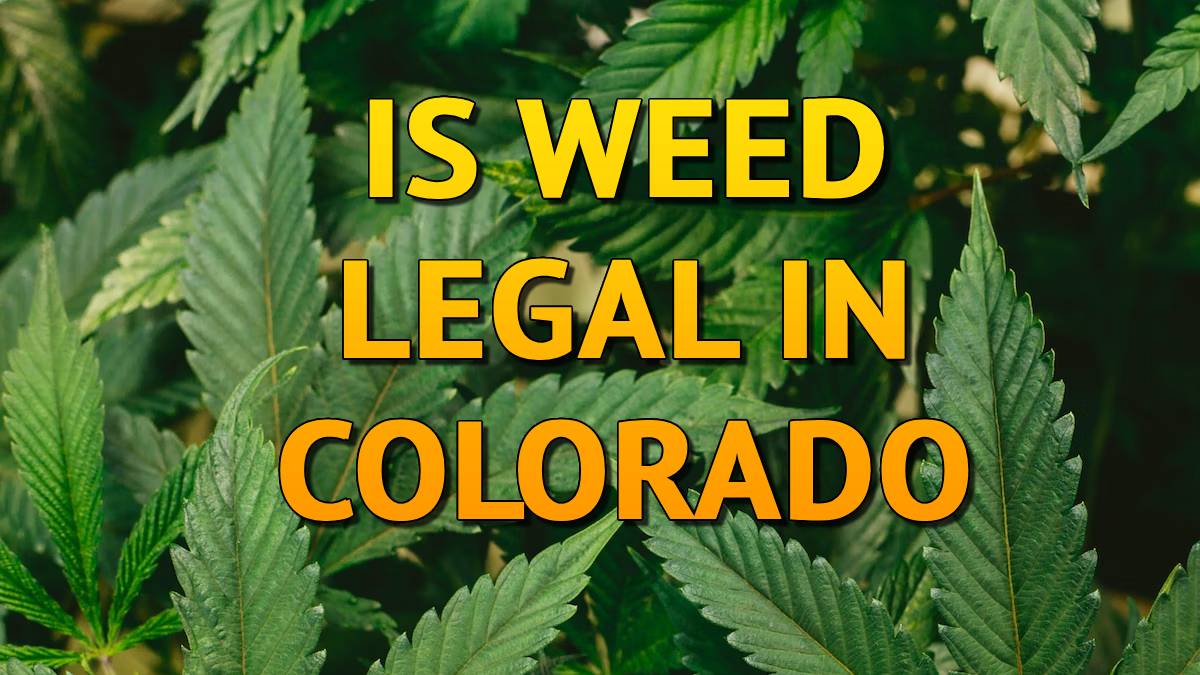 Is Weed Legal in Colorado