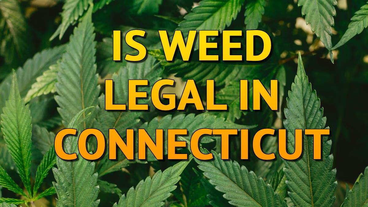 Is Weed Legal In Connecticut