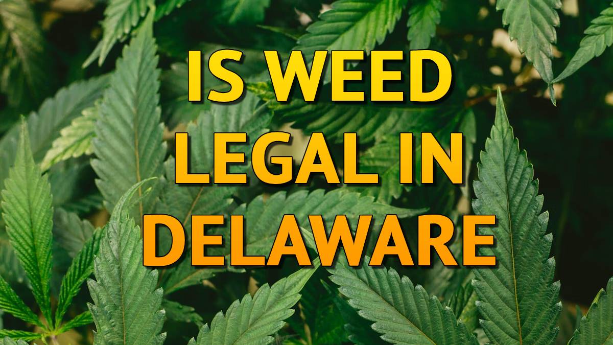 Is Weed Legal In Delaware