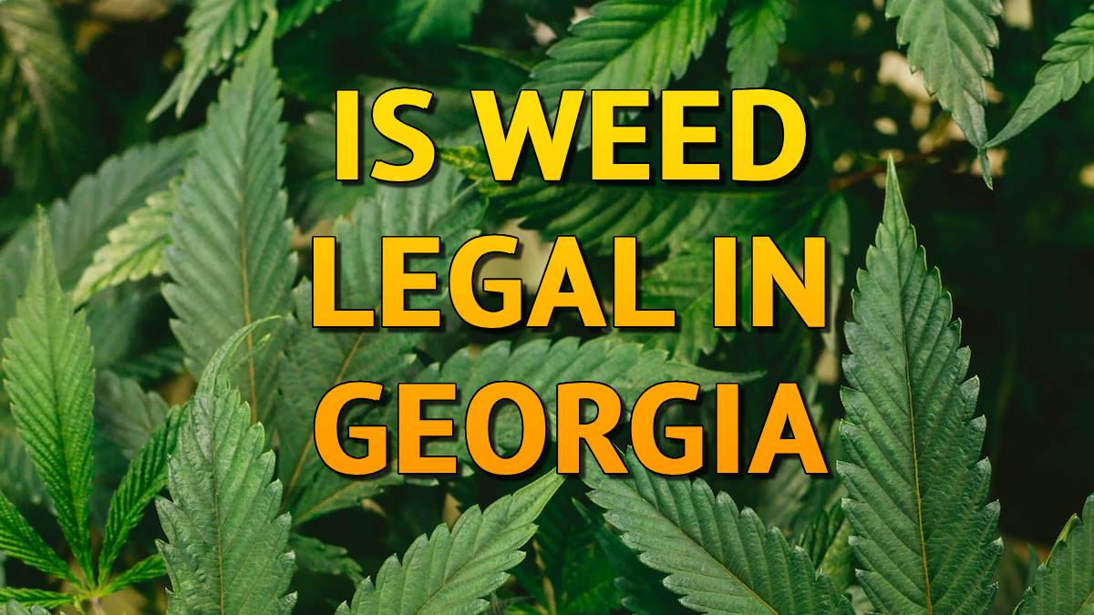 Is Weed Legal in Georgia