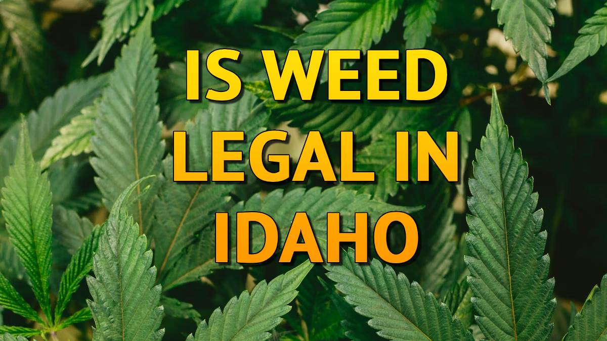 Is Weed Legal In Idaho