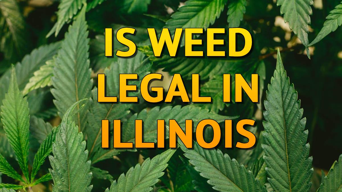 Is Weed Legal in Illinois