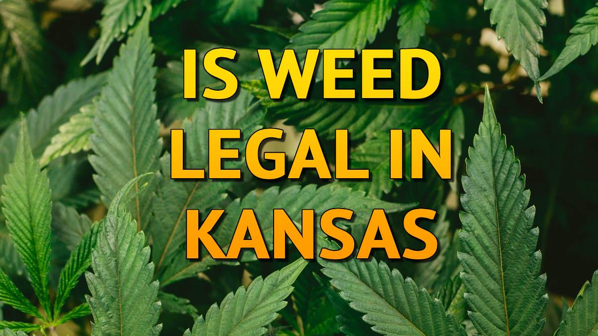 Is Weed Legal in Kansas