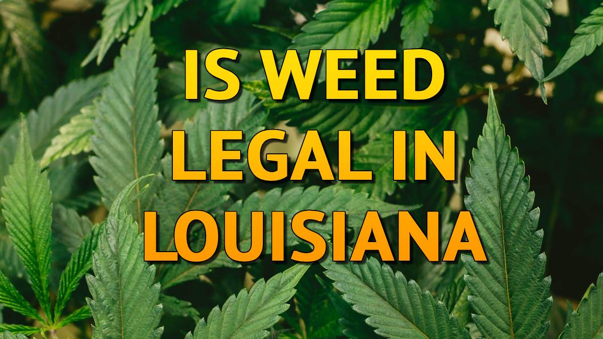 Is Weed Legal In Louisiana