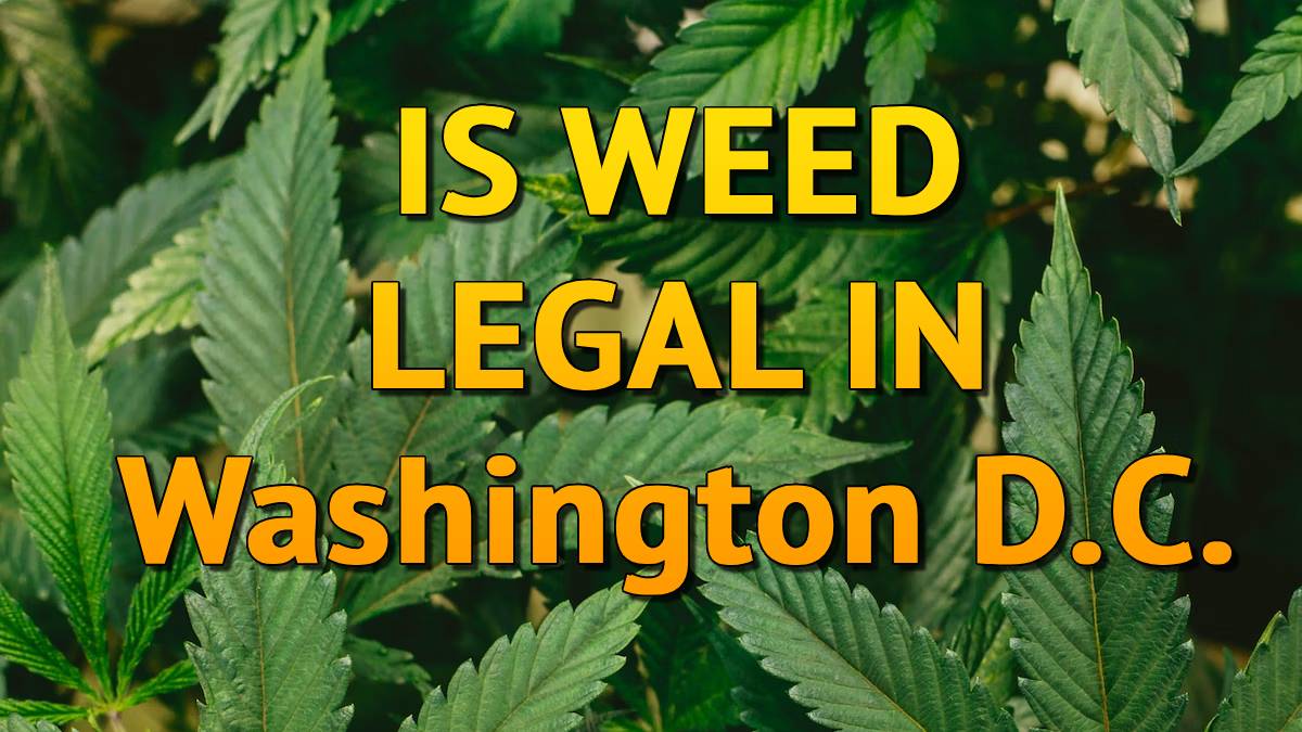 Is Weed Legal In Washington D.C.