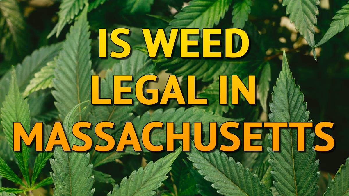 Is Weed Legal In Massachusetts